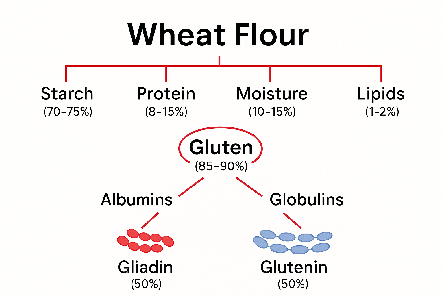 wheat flour hierachy