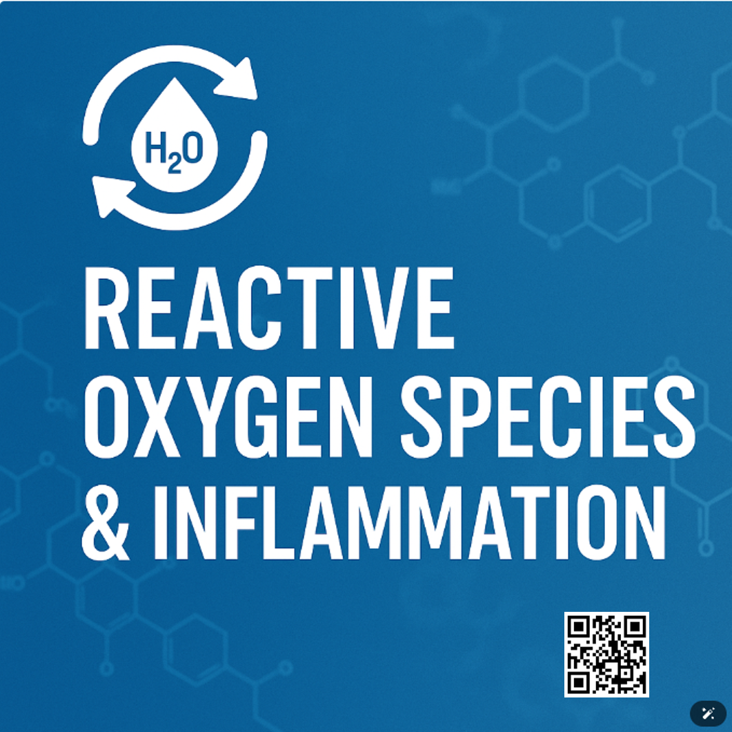 최근 다양한 질환에서 염증 악화의 핵심 요인으로 활성산소종(ROS, Reactive Oxygen Species)이 주목받고 있습니다. 이 포스팅에서 과잉축적된 ROS를 체내 제거 및 치료법의 최신지견에 대해 정리했습니다