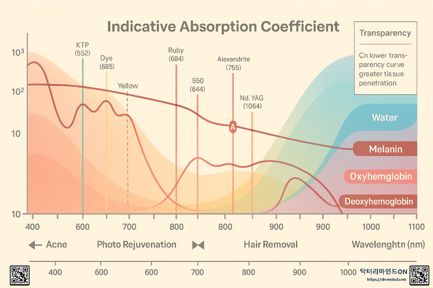 melanin absorption coefficient graph