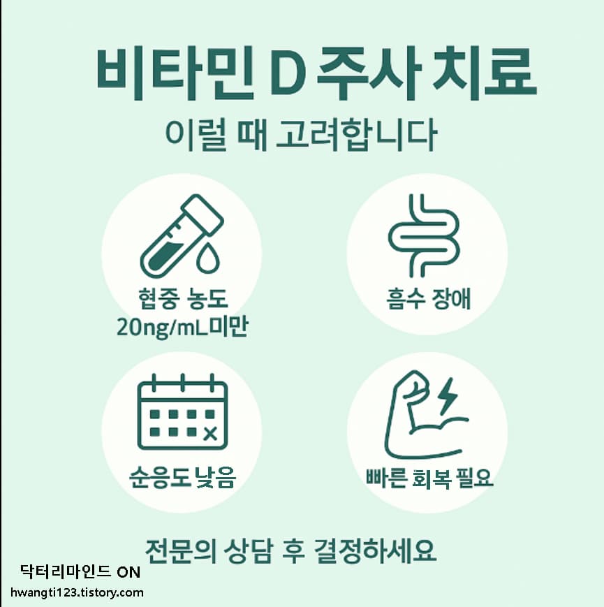 비타민주소 인포